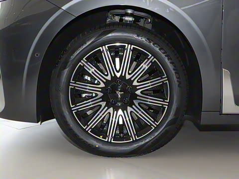 2025�� EV �������������