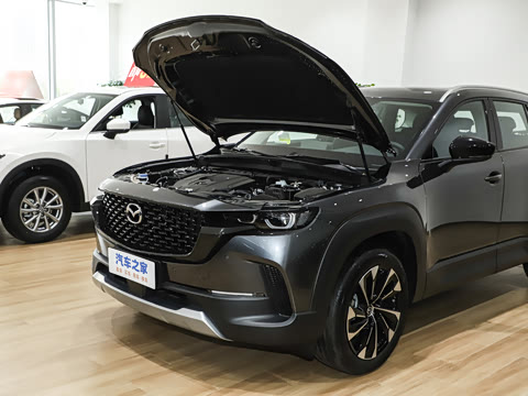 2026�� 2.5L ���а�