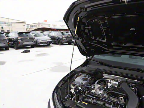 2025�� �Ŀ�� 300TSI R-Line