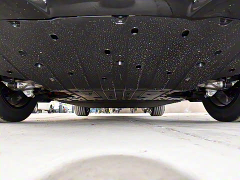 2026�� Elite �����