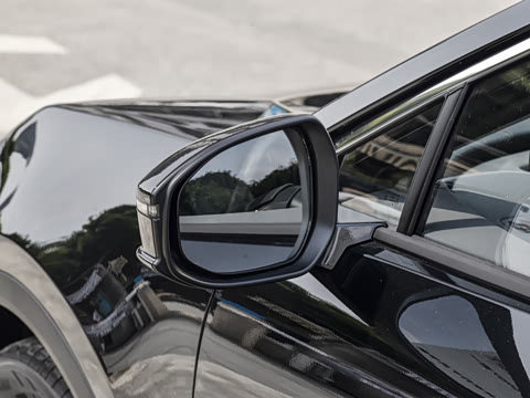 2026�� ������ JOY