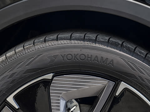 2026�� ������ JOY