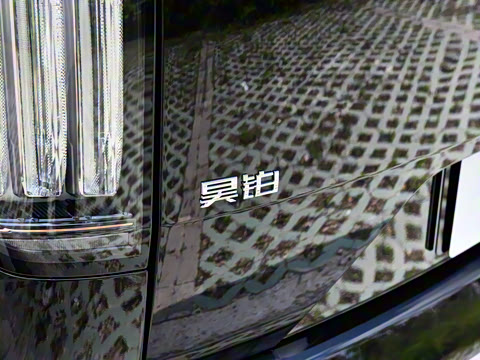 2025�� �Ŀ� 350 Max���������״��