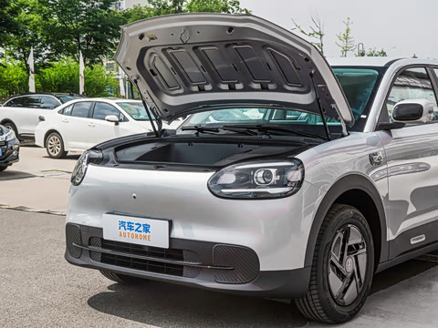 2026�� 310�Ȱ���