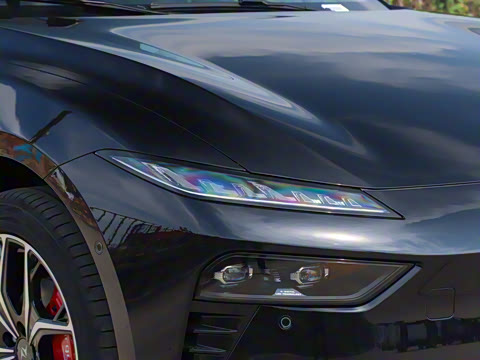 2025�� ���� 230Pro�캽��