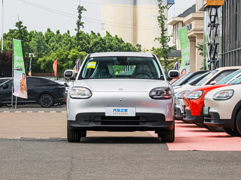 2026�� 310�Ȱ���