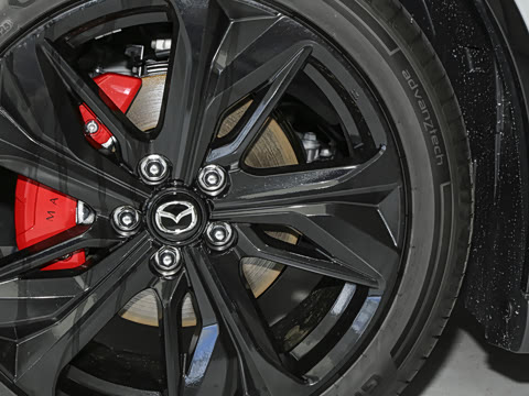 2025�� ����600�����˶���