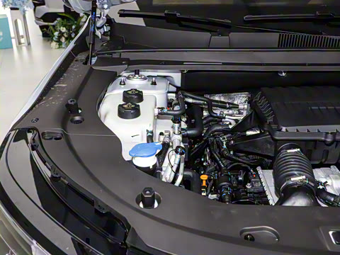 2026�� 121km ������ 7��