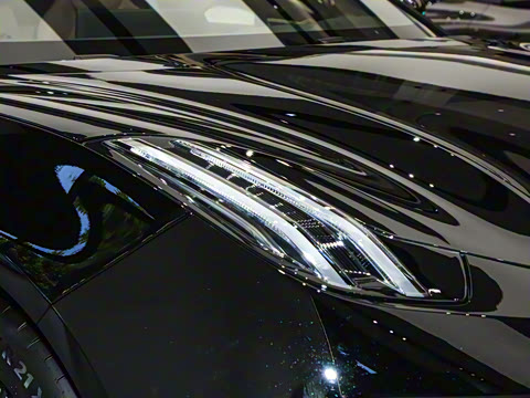 2026��   95������ Max��