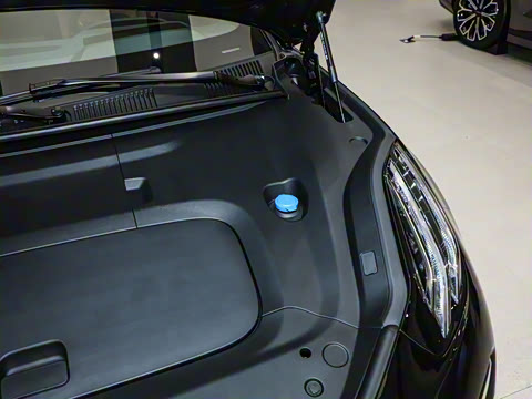 2026��   95������ Max��