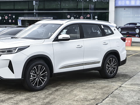 2025�� 290T ��������+