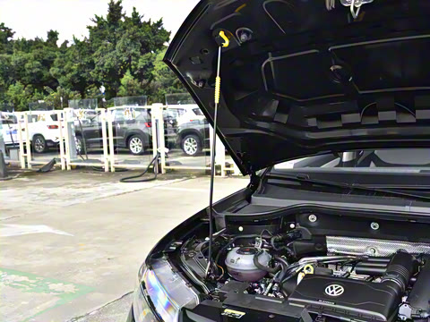 2026�� 280TSI �Զ��ȷ��