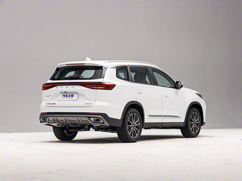 2025�� 290T ��������+