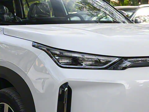 2026�� 650 ��׼��