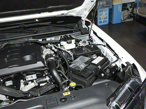 2025�� ̽�������Զ��� ����