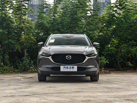 2025�� 2.0L �Զ�������