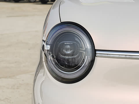 2026�� ����� 205km ���׿�