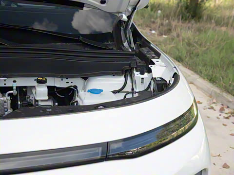 2025�� 600������