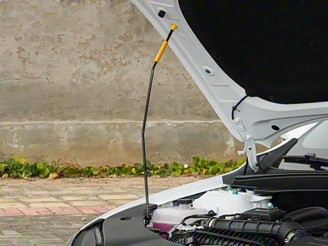 2026�� DM-i 210KM��ȡ��