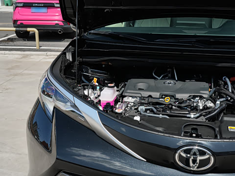 2026�� 2.5L ˫������������