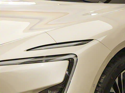 2026�� Max �����