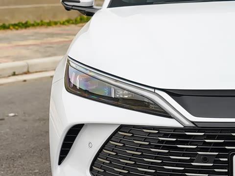 2026�� DM-i 210KM��Խ��