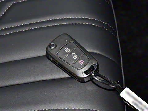 2025�� 2.0T�Զ������촴�� ����