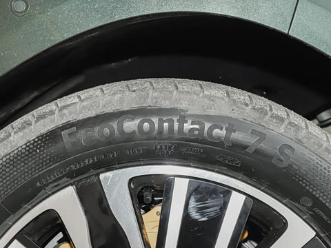 2025�� ������