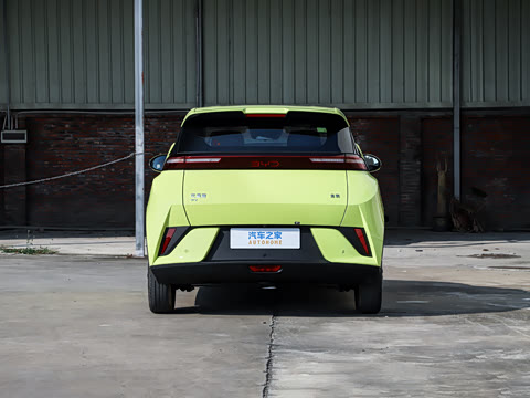 2026�� 305km ������