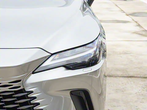 2026�� 300 ����������