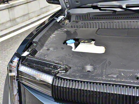 2025�� 520���а�