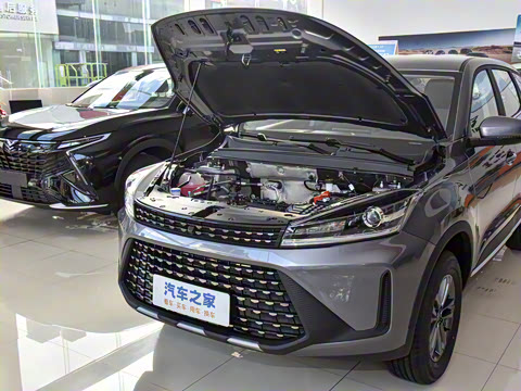 2025�� 1.5L �ֶ���Խ��