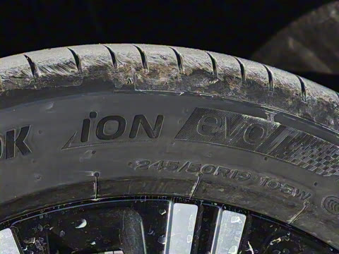 2026�� ����Max