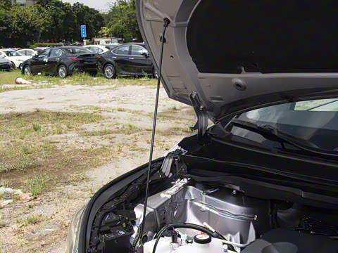 2026�� 2.5L ˫���������ʰ�