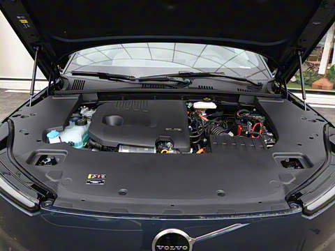 2026�� ������������Plus