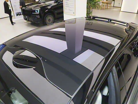 2026��   95������ Max��