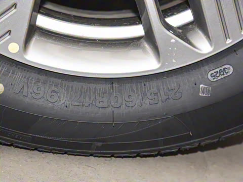 2025�� 565km ������