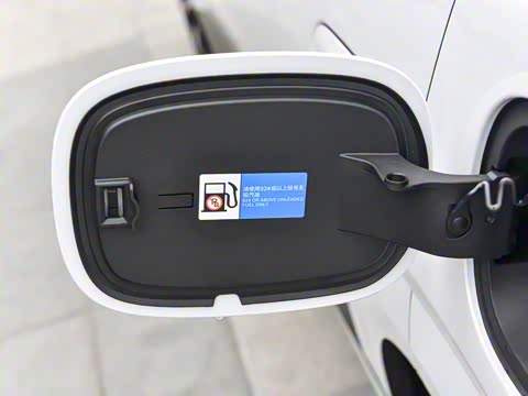 2025�� DM-i 121�캽��