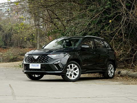 2026�� 280TSI �Զ�����Plus��