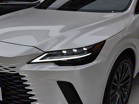 2026�� 350h ����������