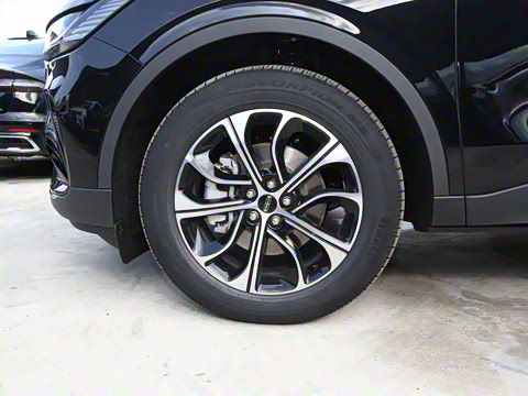 2025�� �Ŀ� 2.0T �������ݰ�