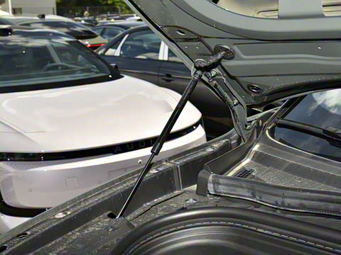 2026�� ����������