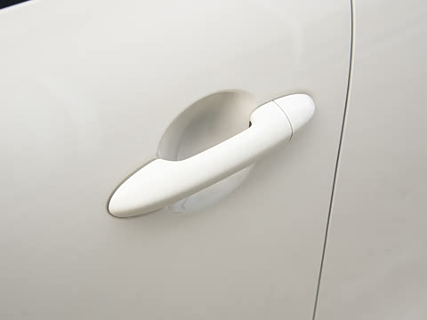 2026�� ����� 301km ���׿�