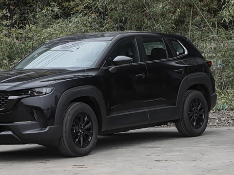 2026�� 2.5L ���а�