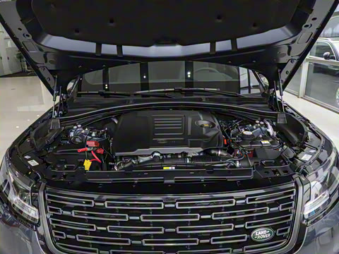 2026�� 250PS Dynamic SE