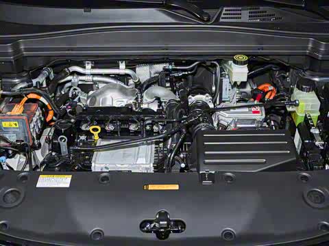 2025�� 185KM�����