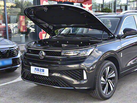 2026�� 380TSI ����R-LineѲ�� ������