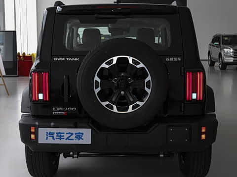2026�� ̹��300L Hi4-Z 