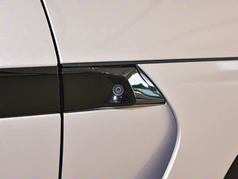 2025�� ������������Pro��