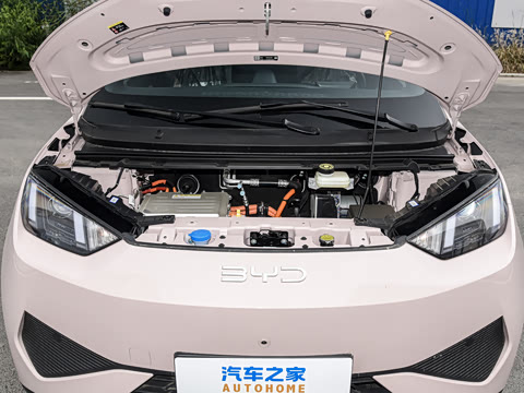 2026�� 305km ������